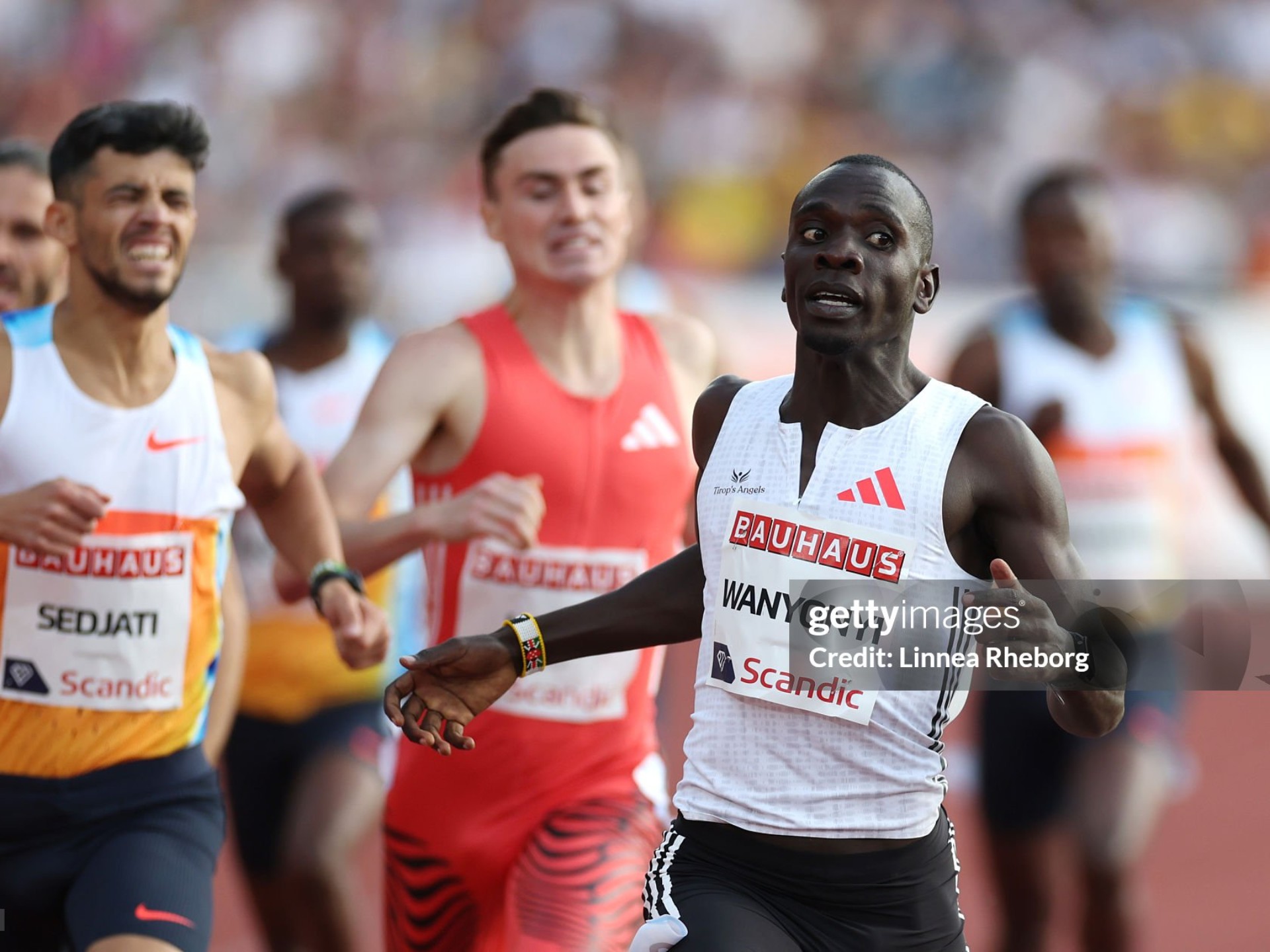 赛地聚焦——欧超杯赛前热度飙升,波士顿凯尔特人迎来里程碑,悬念犹存,高层口径保持一致的简单介绍 赛地聚焦——欧超杯赛前热度飙升,波士顿凯尔特人迎来里程碑,悬念犹存,高层口径保持一致的简单介绍